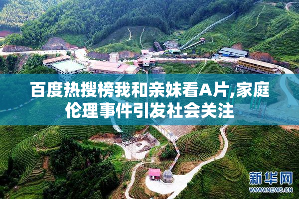 百度热搜榜我和亲妹看A片,家庭伦理事件引发社会关注
