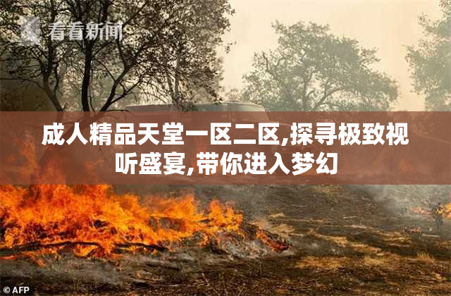 成人精品天堂一区二区,探寻极致视听盛宴,带你进入梦幻