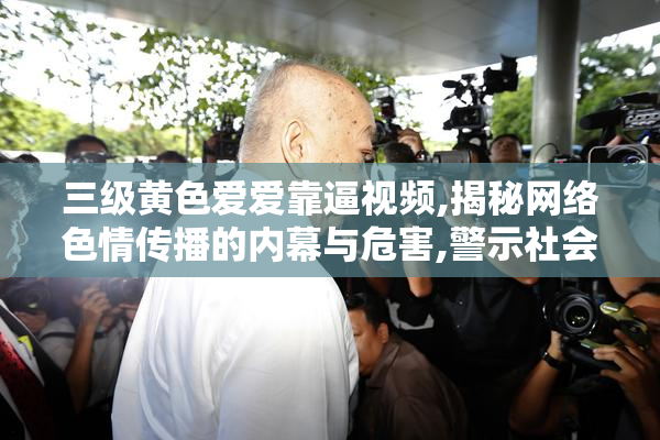 三级黄色爱爱靠逼视频,揭秘网络色情传播的内幕与危害,警示社会