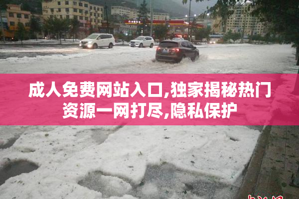 成人免费网站入口,独家揭秘热门资源一网打尽,隐私保护