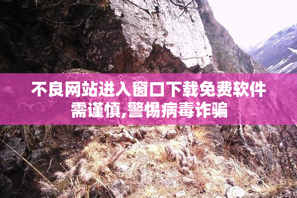 不良网站进入窗口下载免费软件需谨慎,警惕病毒诈骗