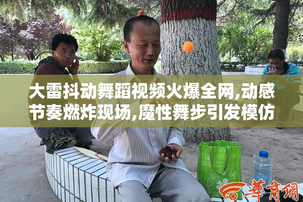 大雷抖动舞蹈视频火爆全网,动感节奏燃炸现场,魔性舞步引发模仿热潮