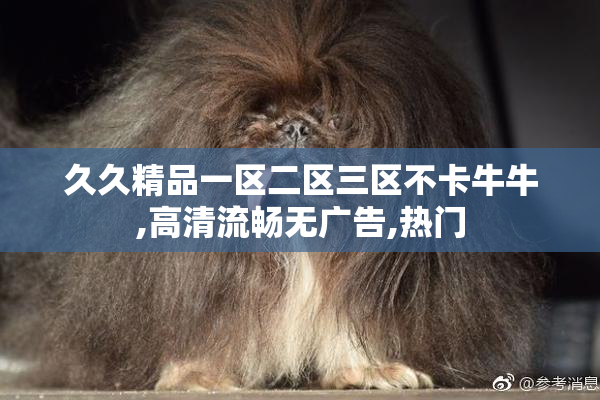久久精品一区二区三区不卡牛牛,高清流畅无广告,热门