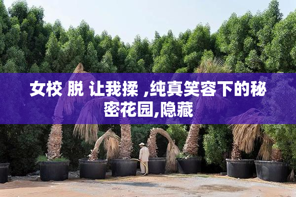 女校 脱 让我揉 ,纯真笑容下的秘密花园,隐藏