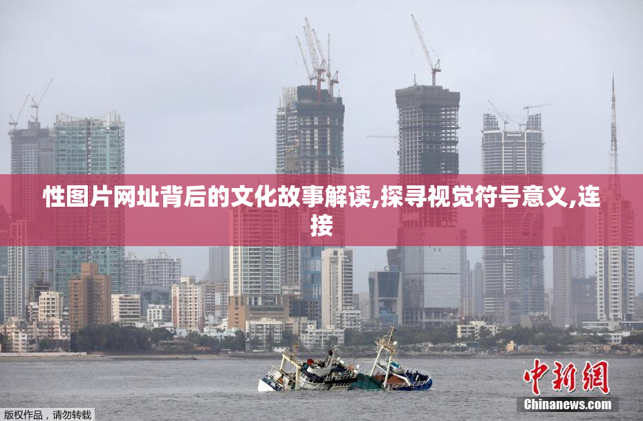 性图片网址背后的文化故事解读,探寻视觉符号意义,连接