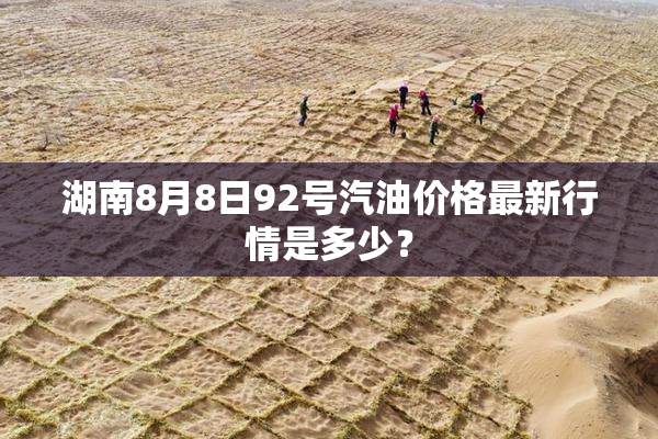 湖南8月8日92号汽油价格最新行情是多少？