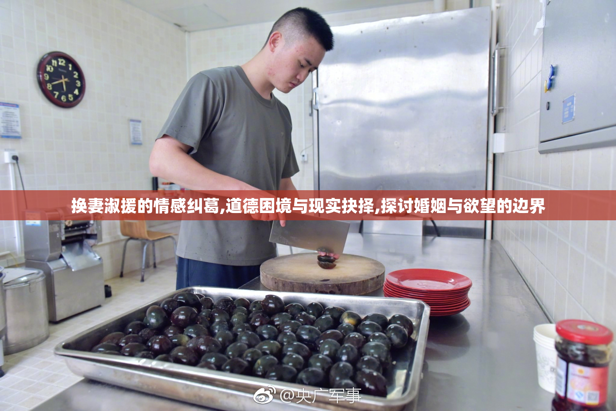 换妻淑援的情感纠葛,道德困境与现实抉择,探讨婚姻与欲望的边界