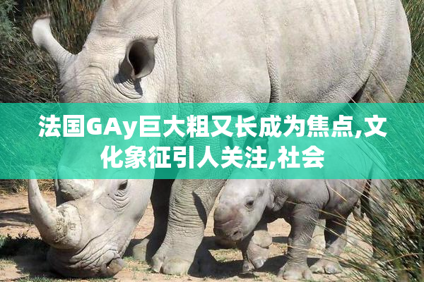 法国GAy巨大粗又长成为焦点,文化象征引人关注,社会