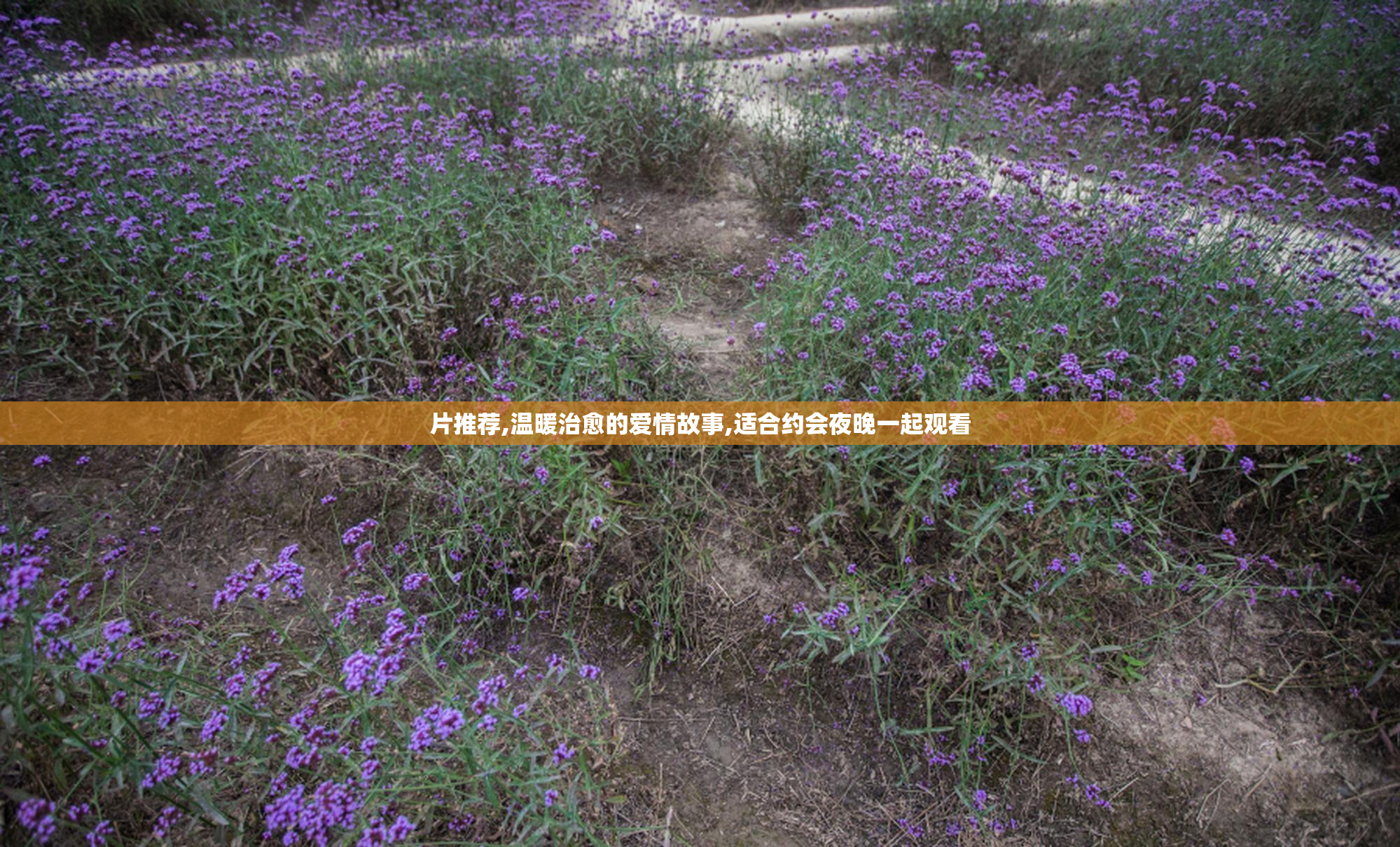 片推荐,温暖治愈的爱情故事,适合约会夜晚一起观看