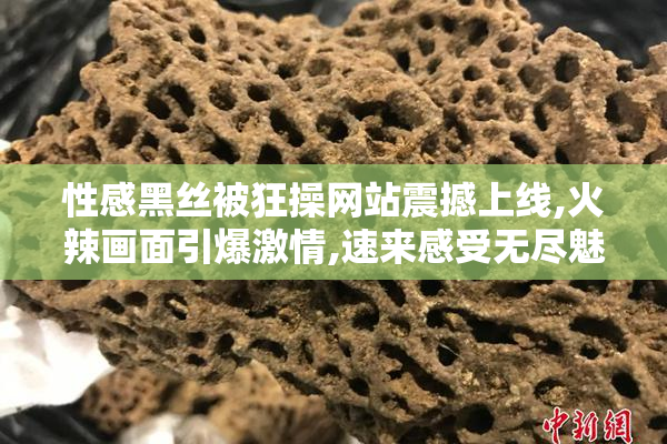 性感黑丝被狂操网站震撼上线,火辣画面引爆激情,速来感受无尽魅惑