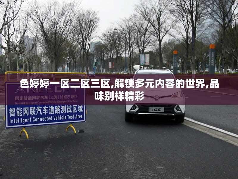 色婷婷一区二区三区,解锁多元内容的世界,品味别样精彩