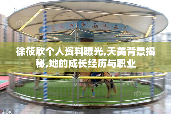 徐筱欣个人资料曝光,天美背景揭秘,她的成长经历与职业