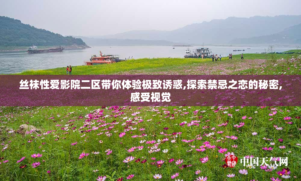 丝袜性爱影院二区带你体验极致诱惑,探索禁忌之恋的秘密,感受视觉