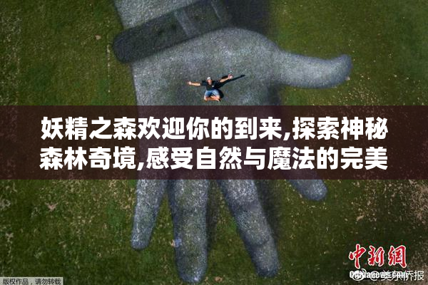 妖精之森欢迎你的到来,探索神秘森林奇境,感受自然与魔法的完美交融