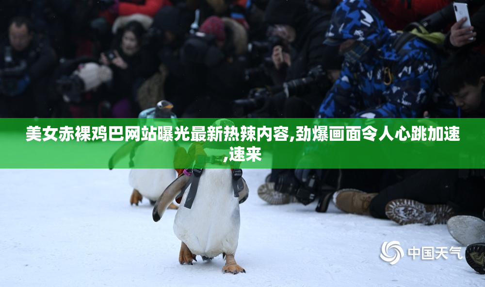 美女赤裸鸡巴网站曝光最新热辣内容,劲爆画面令人心跳加速,速来