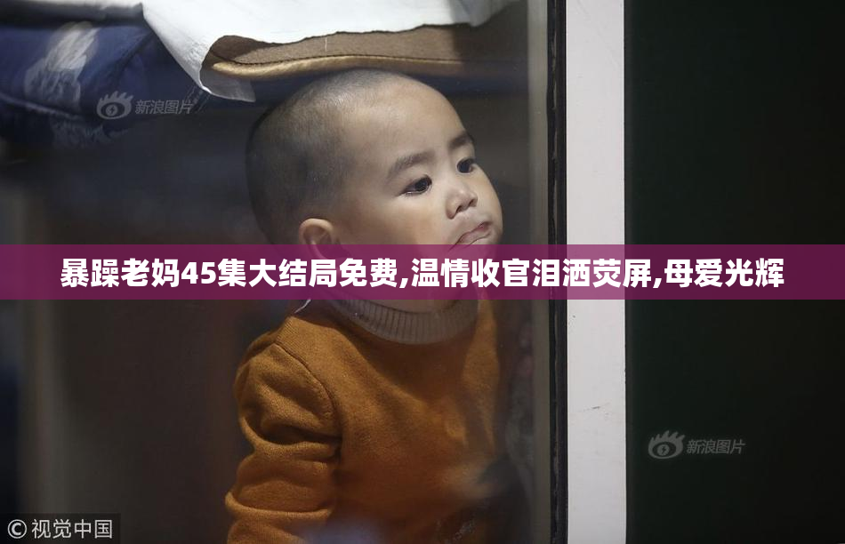 暴躁老妈45集大结局免费,温情收官泪洒荧屏,母爱光辉