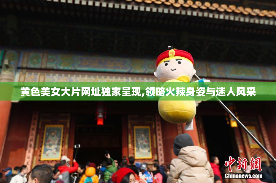 黄色美女大片网址独家呈现,领略火辣身姿与迷人风采