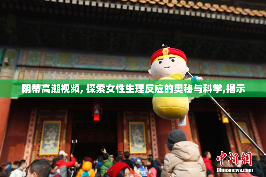 阴蒂高潮视频, 探索女性生理反应的奥秘与科学,揭示