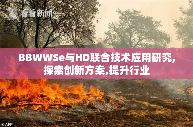 BBWWSe与HD联合技术应用研究,探索创新方案,提升行业