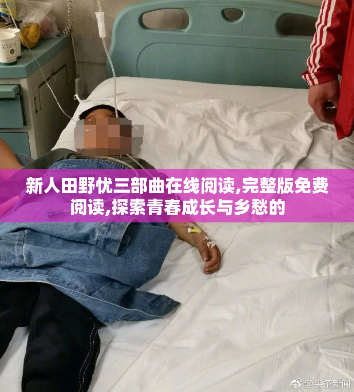 新人田野忧三部曲在线阅读,完整版免费阅读,探索青春成长与乡愁的