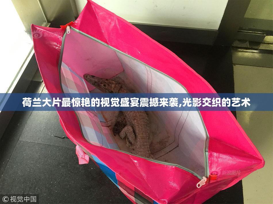 荷兰大片最惊艳的视觉盛宴震撼来袭,光影交织的艺术