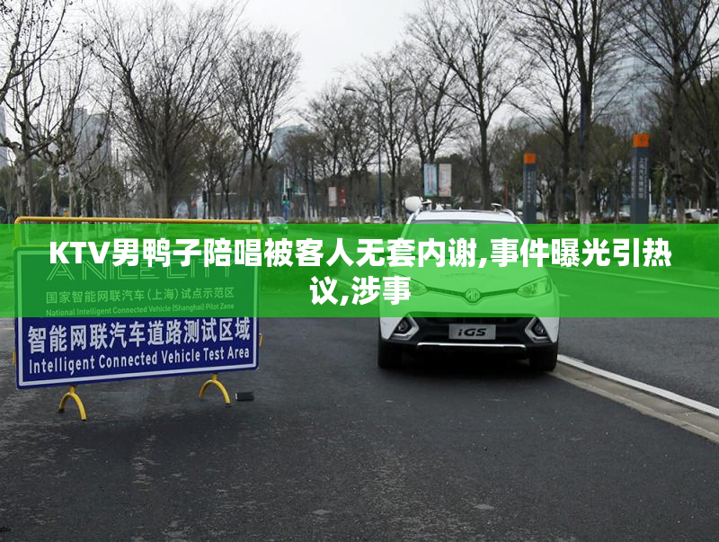 KTV男鸭子陪唱被客人无套内谢,事件曝光引热议,涉事