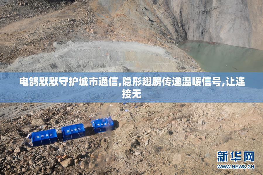 电鸽默默守护城市通信,隐形翅膀传递温暖信号,让连接无