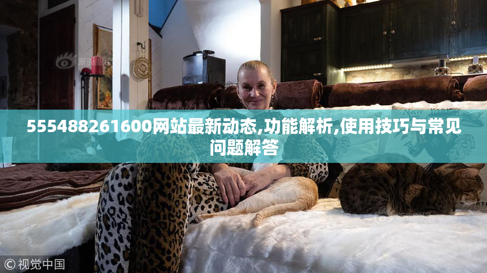 555488261600网站最新动态,功能解析,使用技巧与常见问题解答
