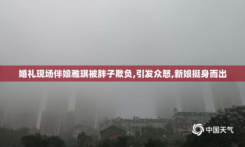 婚礼现场伴娘雅琪被胖子欺负,引发众怒,新娘挺身而出