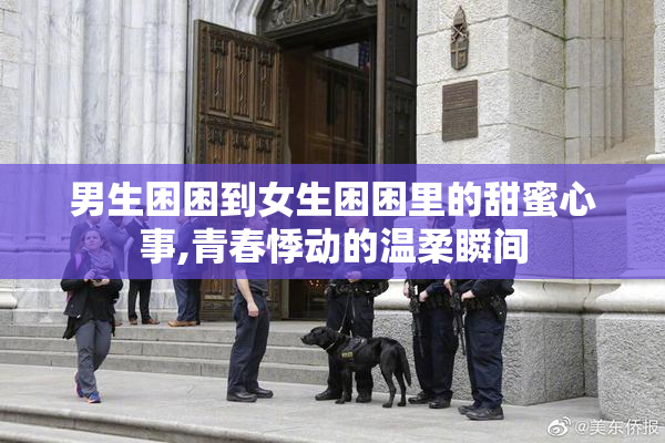 男生困困到女生困困里的甜蜜心事,青春悸动的温柔瞬间