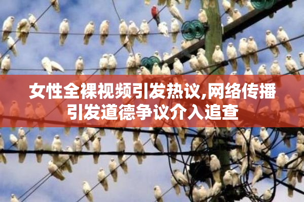 女性全裸视频引发热议,网络传播引发道德争议介入追查