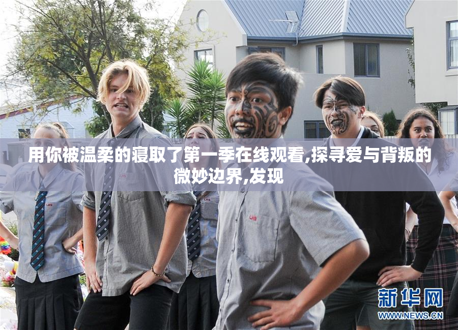 用你被温柔的寝取了第一季在线观看,探寻爱与背叛的微妙边界,发现
