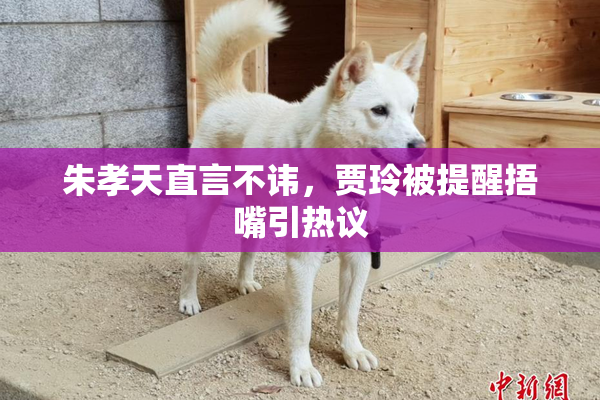 朱孝天直言不讳，贾玲被提醒捂嘴引热议