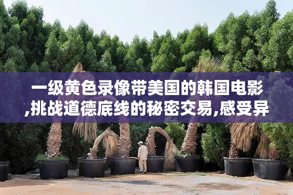 一级黄色录像带美国的韩国电影,挑战道德底线的秘密交易,感受异域