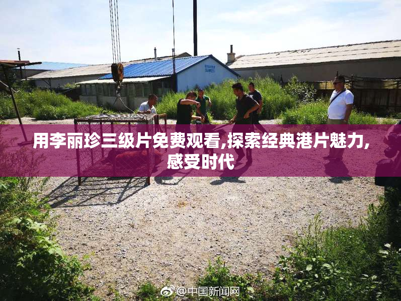 用李丽珍三级片免费观看,探索经典港片魅力,感受时代