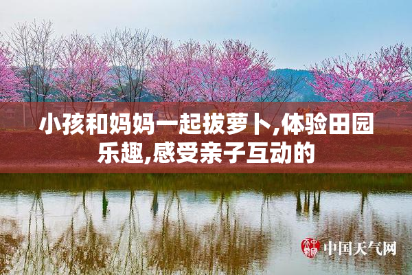小孩和妈妈一起拔萝卜,体验田园乐趣,感受亲子互动的