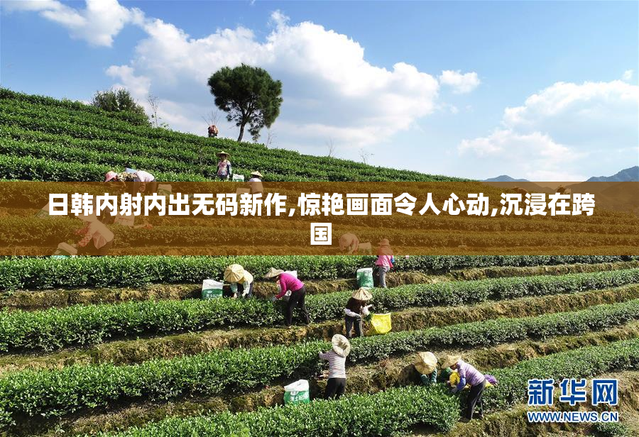 日韩内射内出无码新作,惊艳画面令人心动,沉浸在跨国