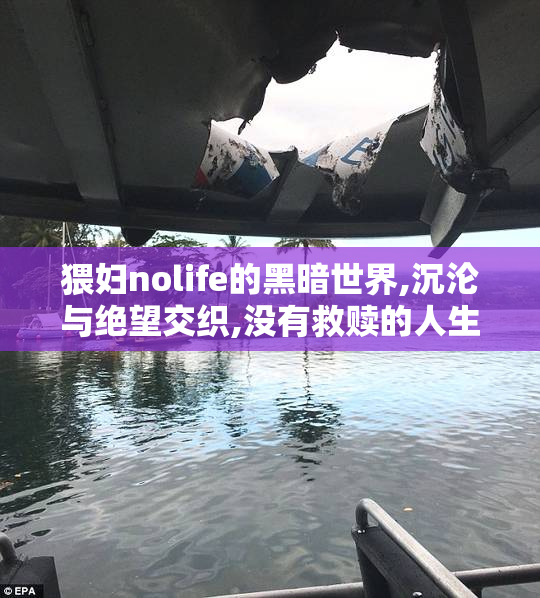 猥妇nolife的黑暗世界,沉沦与绝望交织,没有救赎的人生
