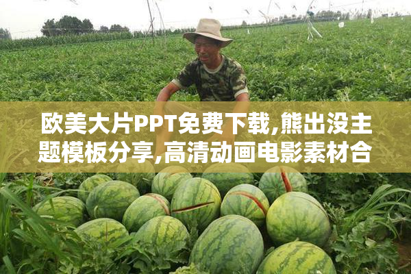 欧美大片PPT免费下载,熊出没主题模板分享,高清动画电影素材合集