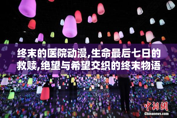 终末的医院动漫,生命最后七日的救赎,绝望与希望交织的终末物语