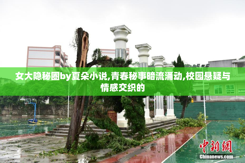 女大隐秘圈by夏朵小说,青春秘事暗流涌动,校园悬疑与情感交织的