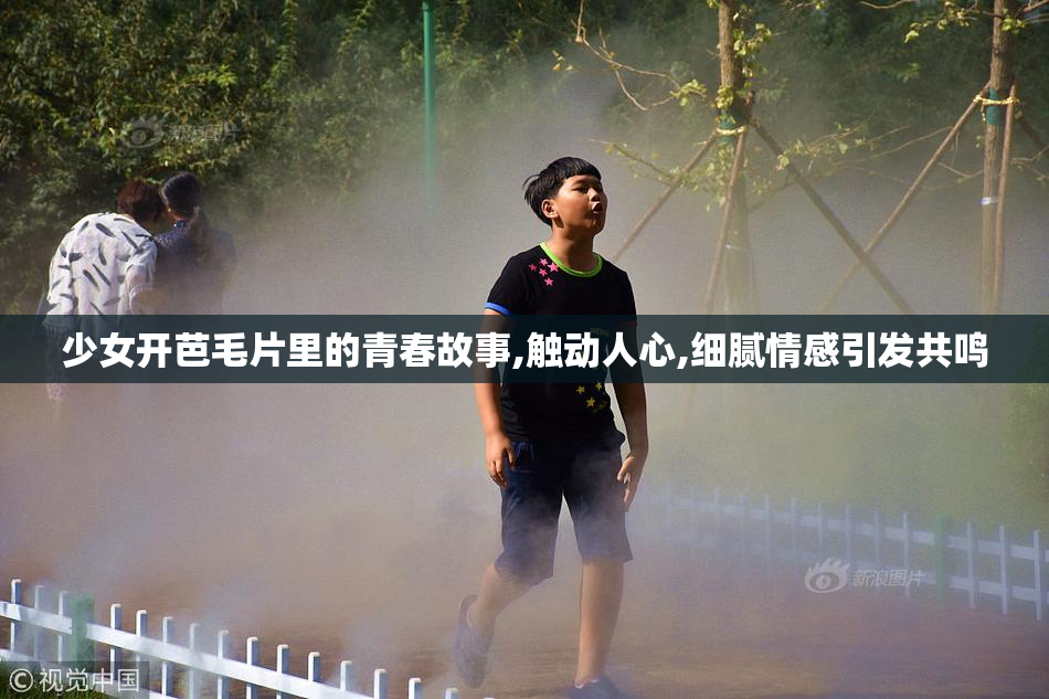 少女开芭毛片里的青春故事,触动人心,细腻情感引发共鸣