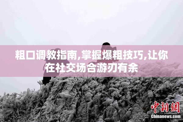 粗口调教指南,掌握爆粗技巧,让你在社交场合游刃有余