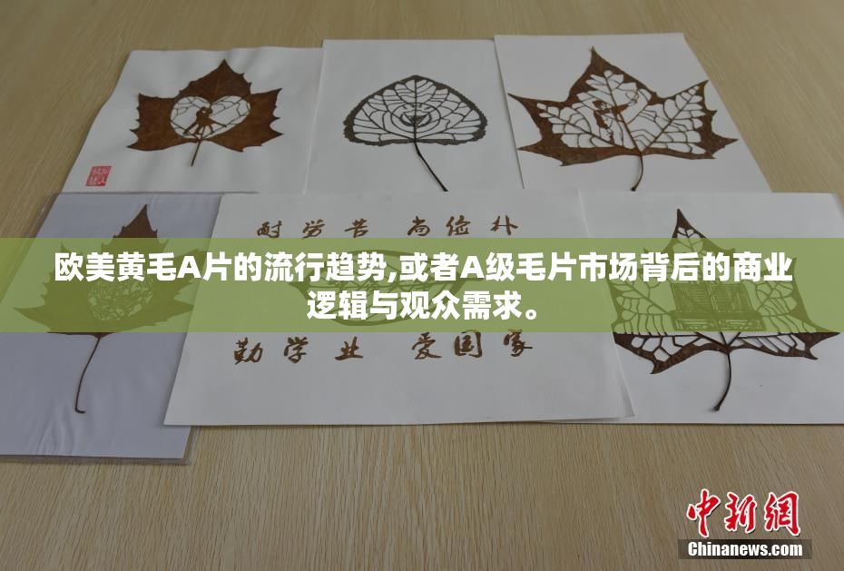 欧美黄毛A片的流行趋势,或者A级毛片市场背后的商业逻辑与观众需求。