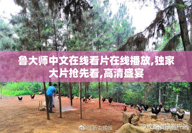 鲁大师中文在线看片在线播放,独家大片抢先看,高清盛宴