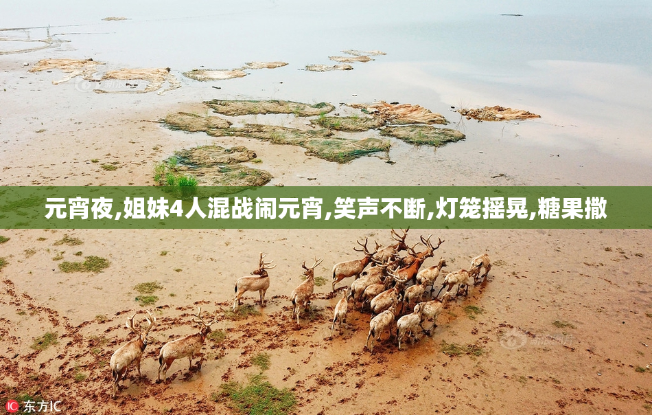 元宵夜,姐妹4人混战闹元宵,笑声不断,灯笼摇晃,糖果撒