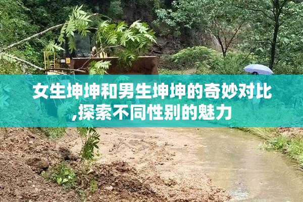 女生坤坤和男生坤坤的奇妙对比,探索不同性别的魅力