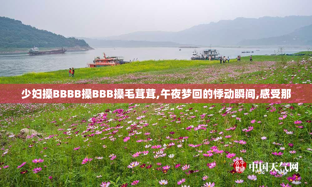 少妇搡BBBB搡BBB搡毛茸茸,午夜梦回的悸动瞬间,感受那