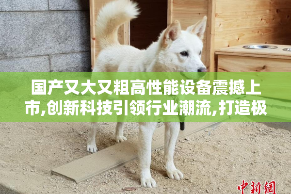 国产又大又粗高性能设备震撼上市,创新科技引领行业潮流,打造极致