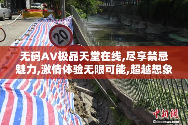 无码AV极品天堂在线,尽享禁忌魅力,激情体验无限可能,超越想象的